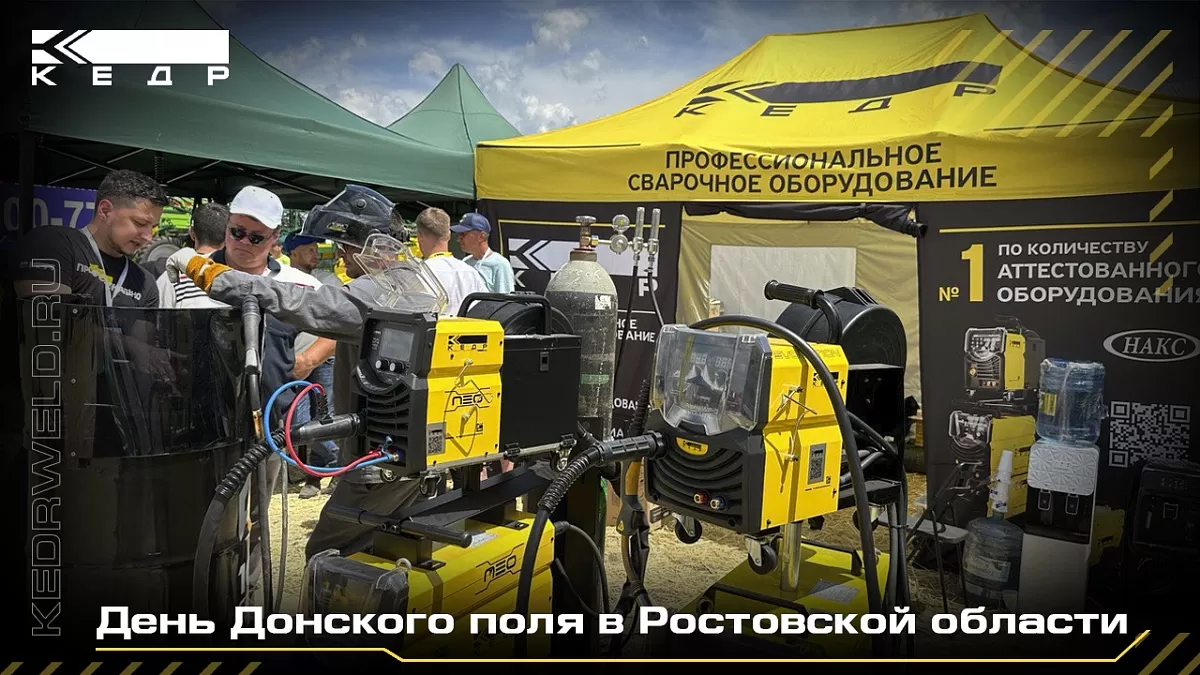“День Донского поля” в Ростовской области - Кедр - 1